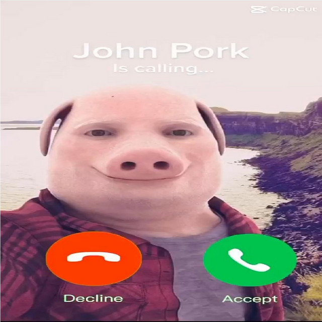 Picture profile of JohnPork Family