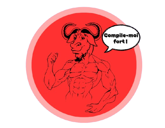 Picture profile of Compile-moi fort !