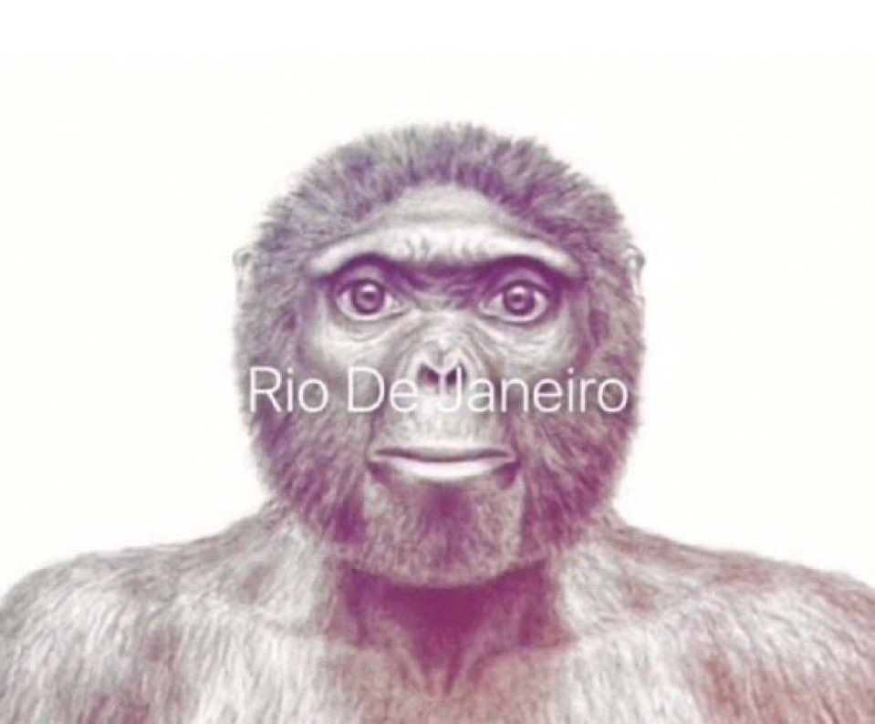 Picture profile of Les singes II : le retour