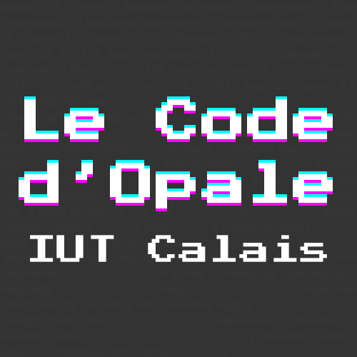 Picture profile of Le Code d'Opale