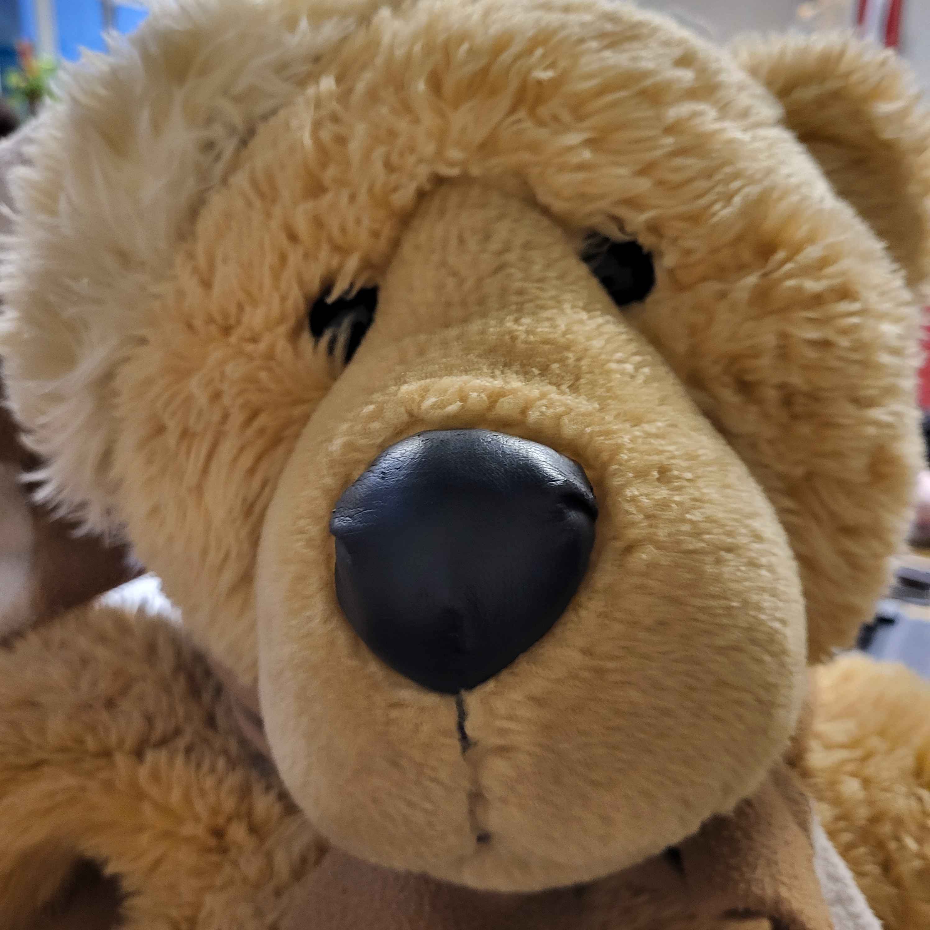 Picture profile of 🧸 Les Copinounours