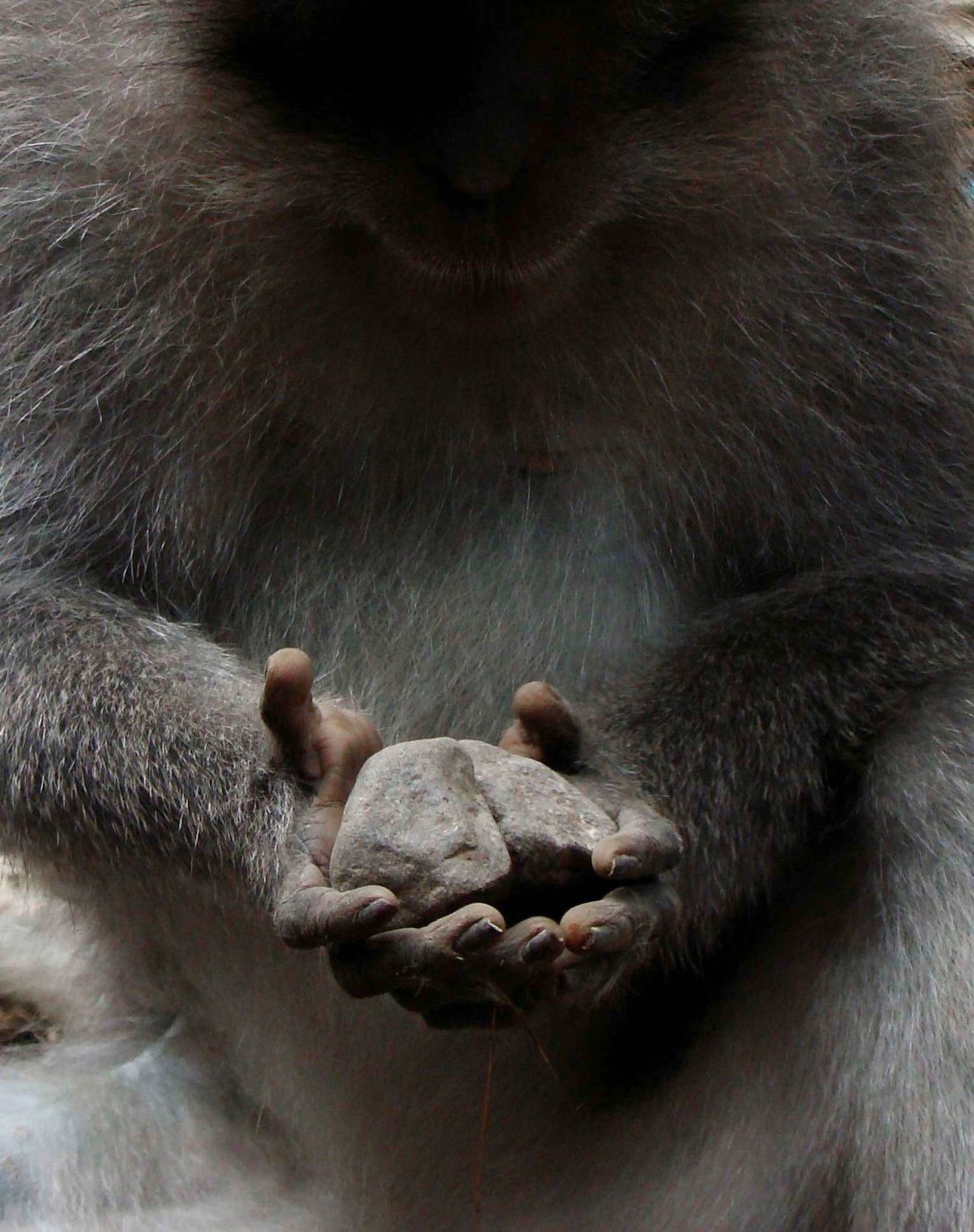 Picture profile of Le Kayou