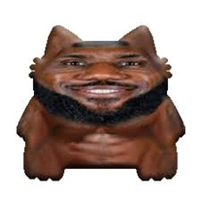 Picture profile of Bound By Coding