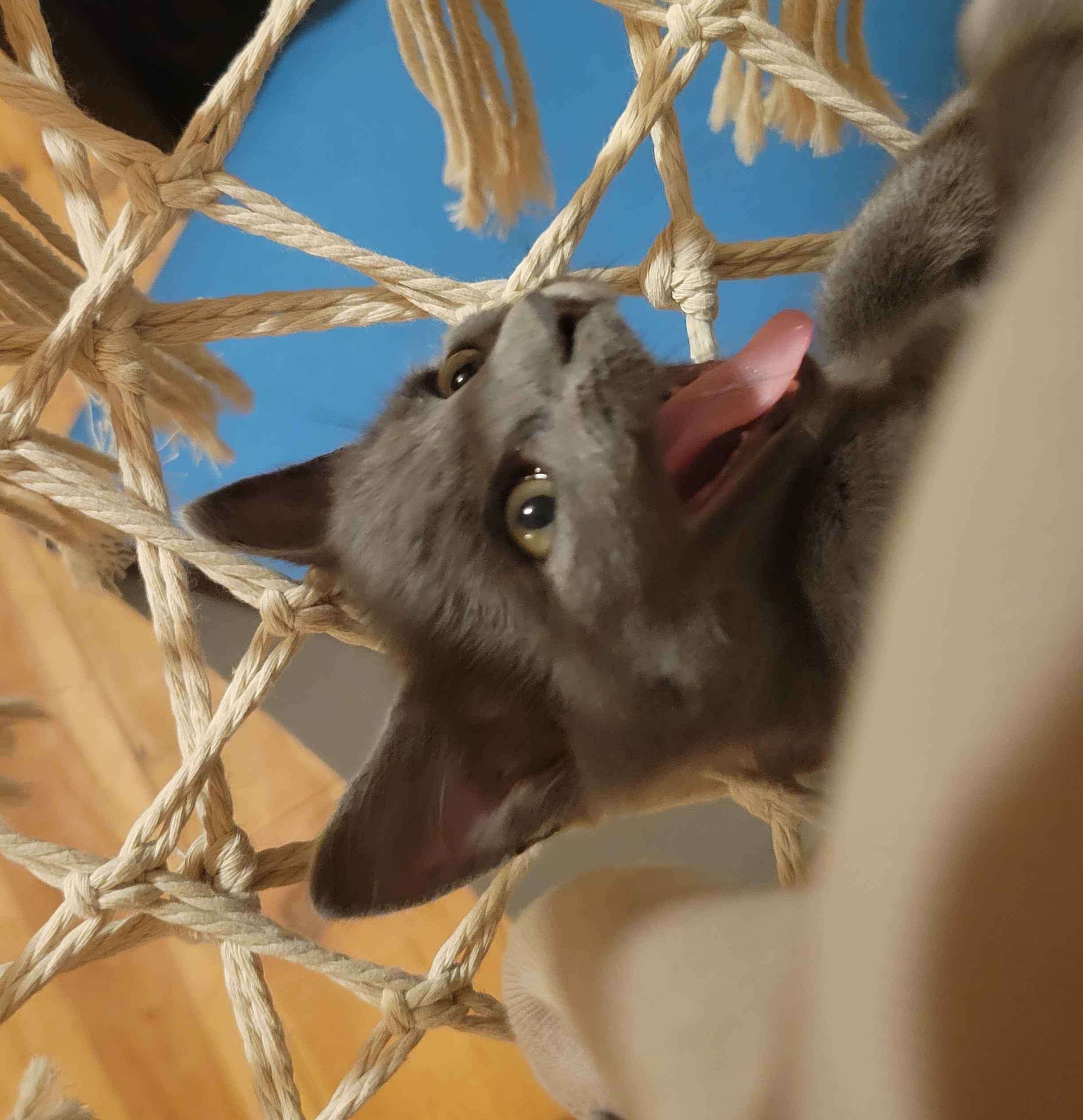 Picture profile of RAIN